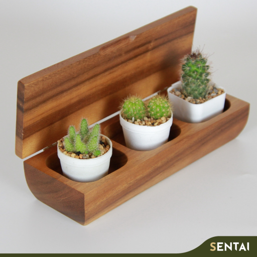 SENI PREMIUM ACACIA SERIES SEASONING BOX - Image 2