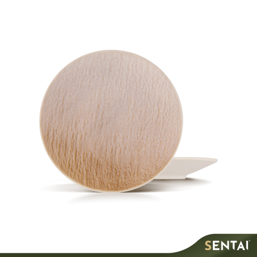 SENI SLATE SERIES COUPE PLATE - Image 4