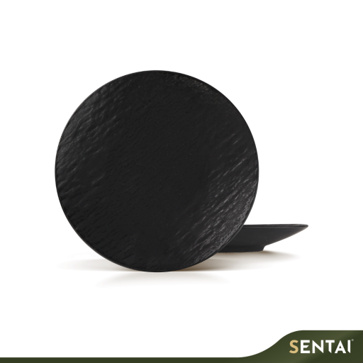 SENI SLATE SERIES COUPE PLATE - Image 2