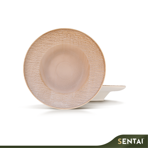 SENI SLATE SERIES PASTA PLATE - Image 4