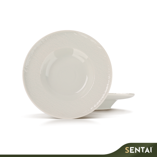 SENI SLATE SERIES PASTA PLATE