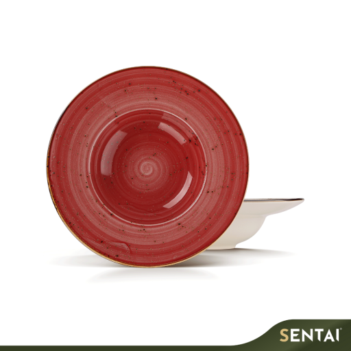 SENI VINTAGE SERIES PASTA PLATE - Image 5