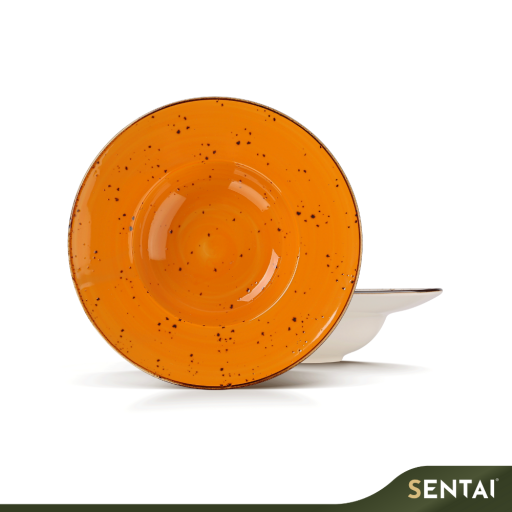 SENI VINTAGE SERIES PASTA PLATE - Image 4
