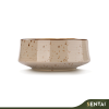 SENI VINTAGE SERIES DISH BOWL - Image 2